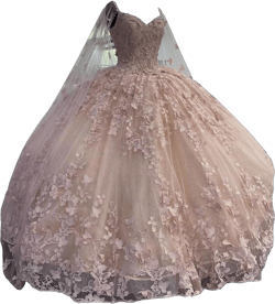 Butterfly Floral Lace Princess Quinceanera Dresses with Cape Beading Pageant Formal Dress Women 2025 6 Light Pink