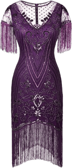 FAIRY COUPLE Women's 1920s Plus Size Lace Neck Great Gatsby Dress Sequin Art Deco Flapper Dress with Sleeve D20S028 3XL Purple