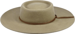 Silver Canyon Women’s Gambler Telescope Wool Felt Water Repellent Crushable Wide Brim Western Hat Large Putty
