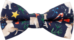 Spring Notion Boy's Printed Christmas Theme Bow Tie L (8 - 12 year) Animal Reindeer