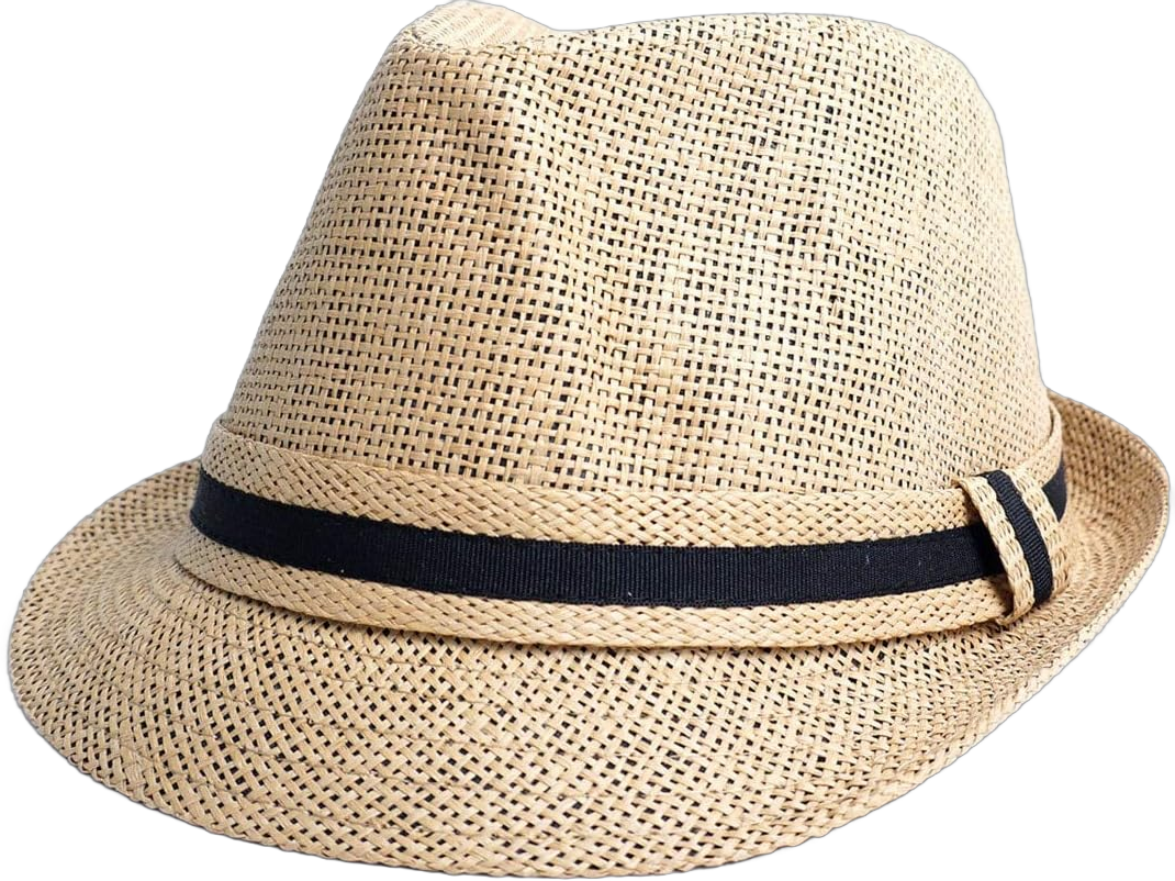 WESTEND Unisex Summer Wide Brim Fedora - Hats for Men & Women + Panama Hats & Straw Hats