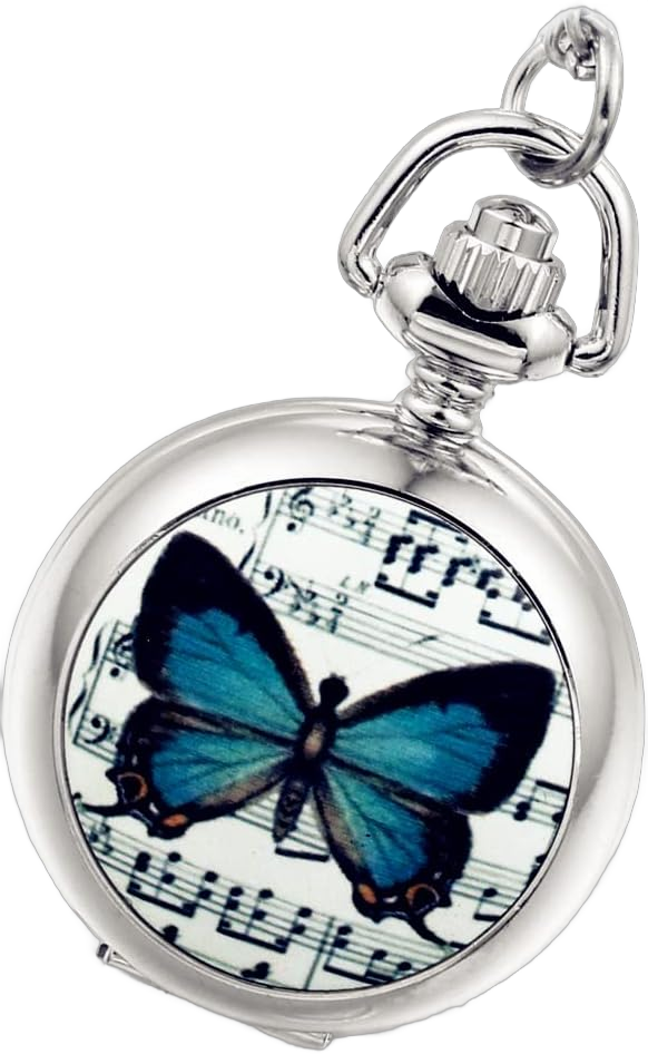 Lancardo Women Pocket Watch Beautiful Butterfly Silver Quartz Sweater Necklace with Chain Pendant Watch for Christmas